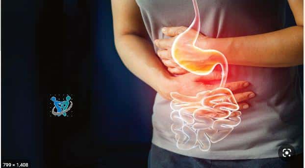 متلازمة القولون العصبي (متلازمة القولون المتهيج) 1 متلازمة القولون العصبي (متلازمة القولون المتهيج)